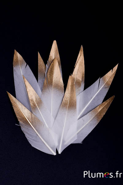 Federblüten - 6-8 x 2-3 cm - weiß-gold Splitter